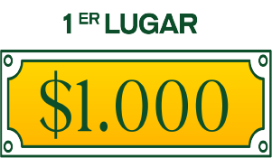 Primer lugar $1.000