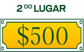 Segundo lugar $500