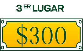 Tercer lugar $300